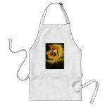 'Ancient of Days' Apron