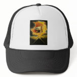 Ancient of Days Hats
