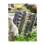 Ancient ruins in Ephesus Post Card