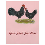Ancona Chickens Flyers