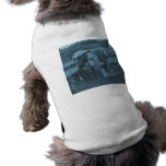 And Nicodemus the Cat was Fed by the Wayside pet clothing