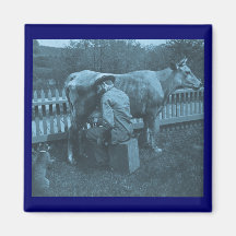And Nicodemus the Cat was Fed by the Wayside Refrigerator Magnets