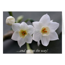 ...and one on the way! card