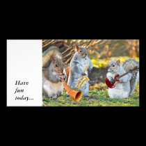 And the band played on, photo cards