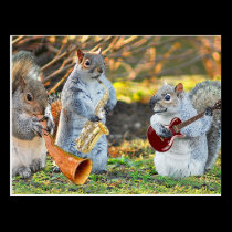 And the band played on postcards