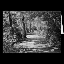 And the path runs through it cards