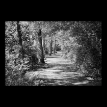 And the path runs through it posters