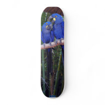 And Then I Said Skate Board Decks