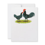Andalusian Chickens Custom Invitation