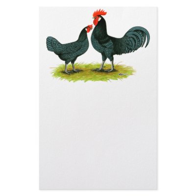 Andalusian Chickens Custom Stationery by diane_jacky