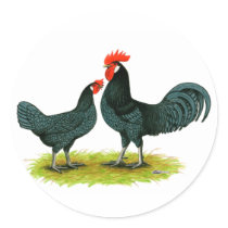 Andalusian Chickens Round Sticker