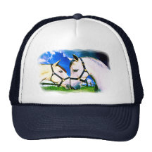 ANDALUSIAN KISS HATS