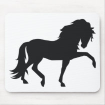 Andalusian