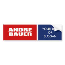ANDRE BAUER FOR GOVERNOR