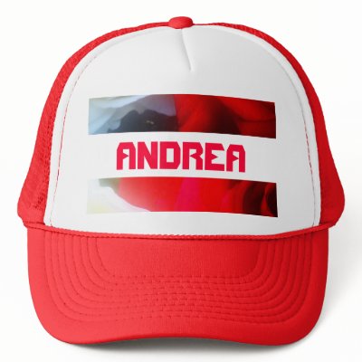 Andrea Mesh Hats by lollypopgirrrl