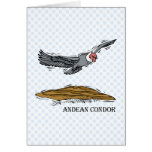 Andrea the Andea Condor Greeting Cards