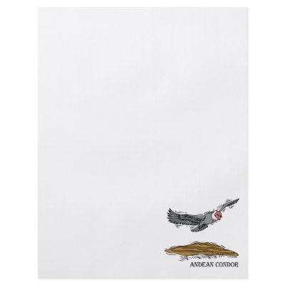 Andrea the Andea Condor Personalized Flyer by BisforBirds