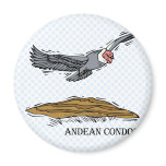 Andrea the Andea Condor Refrigerator Magnets
