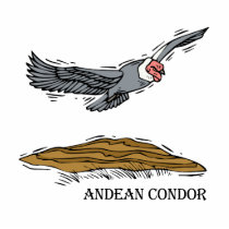 Andrea the Andea Condor Cut Out