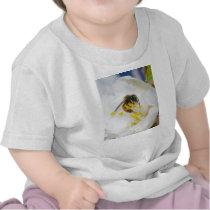 Andrena Margandrena Krausiella Gusenleitner Bee T-shirt