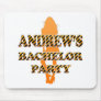 Andrew's Bachelor Party