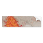 Andy Howell Bumper Stickers bumper stickers