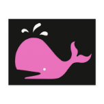 Andy Whale Singletons_pink,white on black postcards