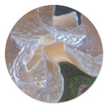 anemone 2 round stickers