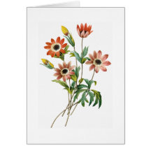 Anemone Birthday Greeting Card