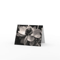 Anemone Card
