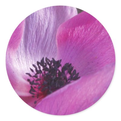 Anemone Closeup Stickers by emele1