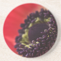 Anemone Flower Coaster