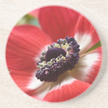 Anemone Flower Coaster