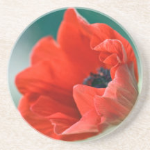 Anemone Flower Coaster
