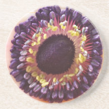 Anemone Flower Coaster