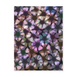 anemone flower pattern
