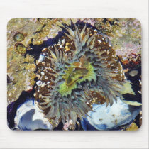 Anemone Mousepads
