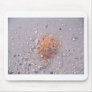 Anemone On Shore Mousepads