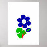 Anemone Poster