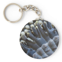 Anemone, Sipadan Island, Borneo, southeast Asia Key Chains
