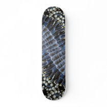 Anemone, Sipadan Island, Borneo, southeast Asia Skate Decks