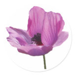 Anemone Sticker