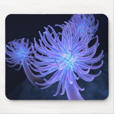 Anemones Mousepad by digitalblasphemy