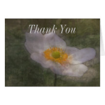 Anenome Dreams Thank You Card