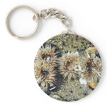 Anenomes Tidepools Sand Key Chains