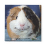 Angeelo Fridge Magnet