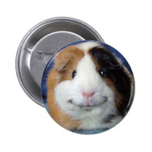 Angeelo Pinback Buttons