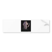 angel004 bumper stickers