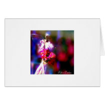 Angel 4/s cards