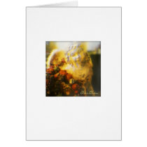 Angel 5 cards